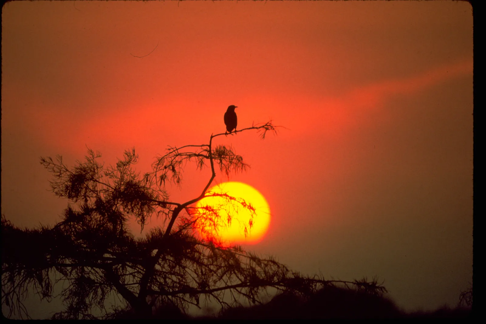 Everglades National Park