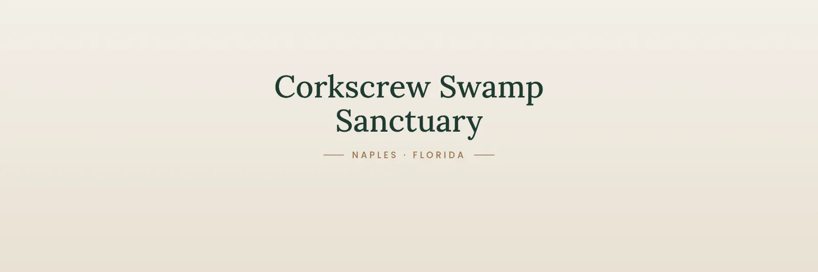 Audubon's Corkscrew Swamp Sanctuary